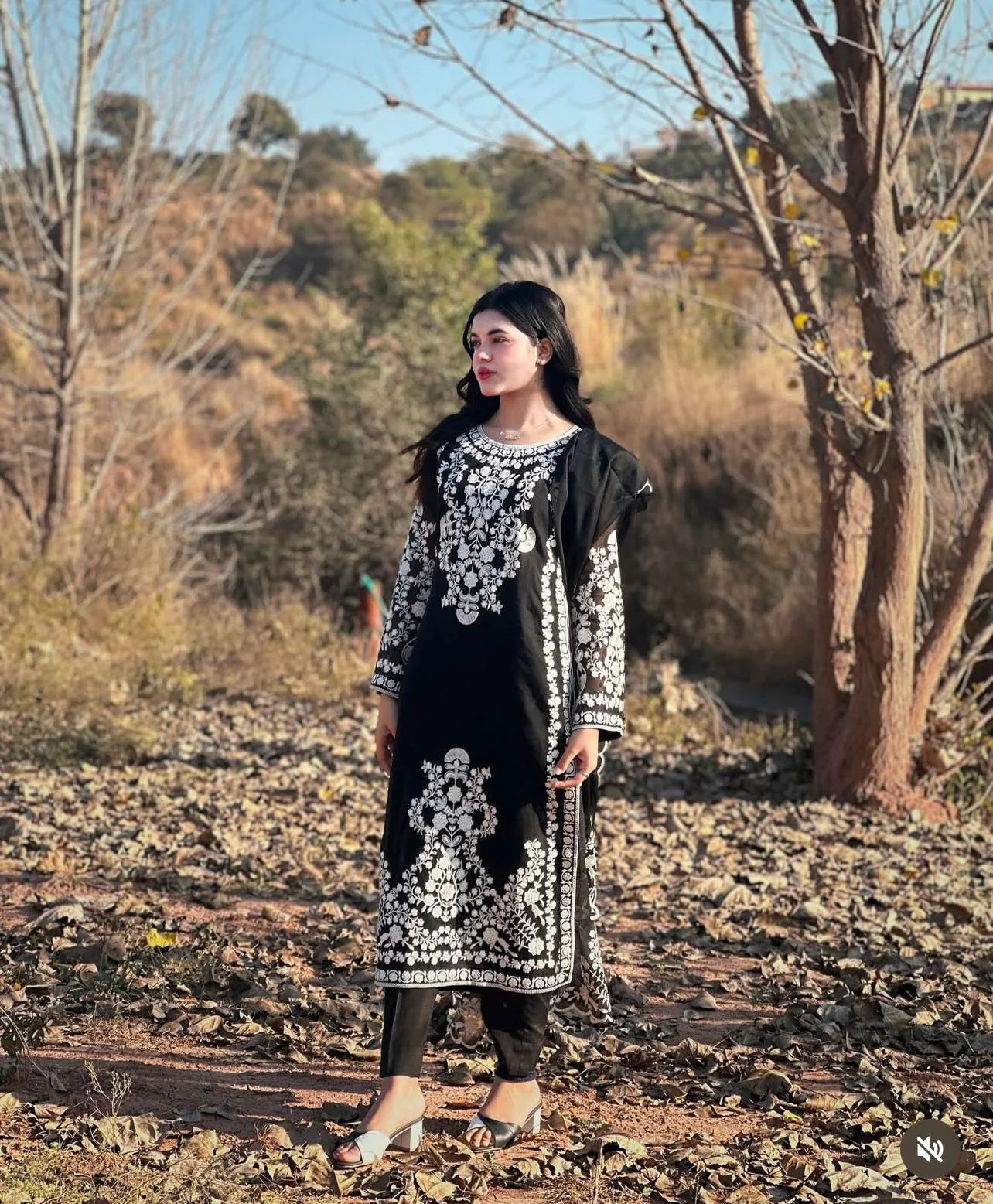 Luxury Embroidered Lawn 3pc SL-804